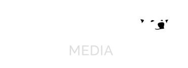 Polaris-logo_transparent
